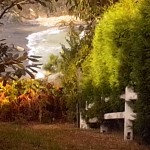 Disfruta de la naturaleza en el puente de todos los santos